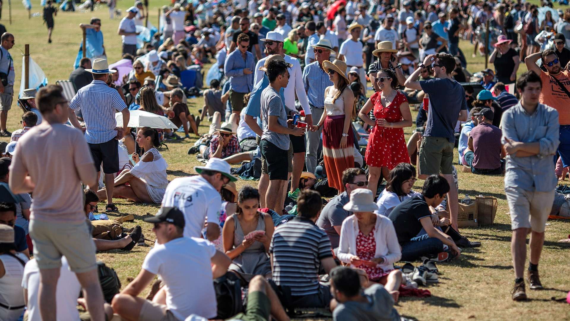 絕大多數進 絕大多數進